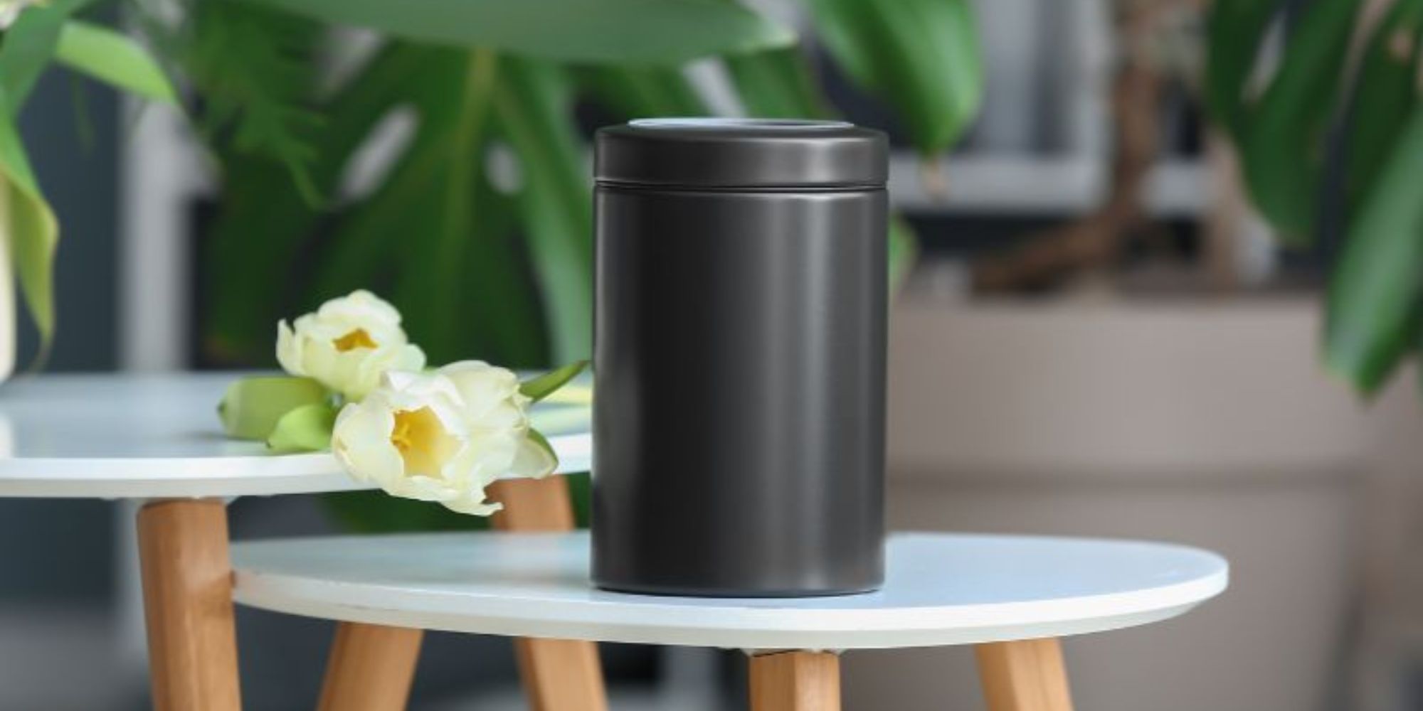 Untitled design - 2026-01-23T125755.987